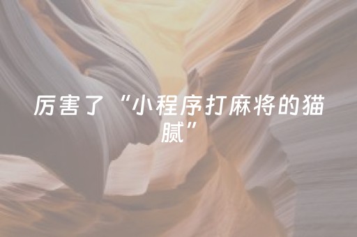 玩家必备教程“雀神广东麻将挂的骗局”（控牌器)