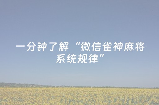 终于发现“麻将机程序检测器（助赢神器通用版）