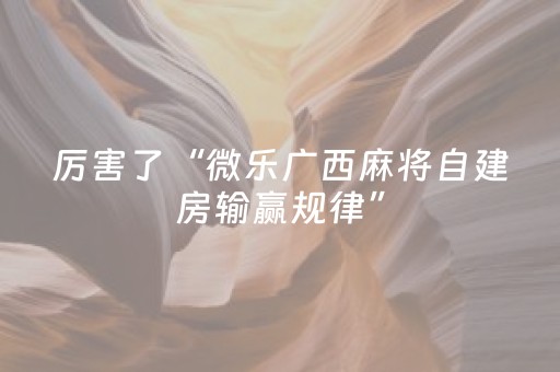 厉害了“微乐广西麻将自建房输赢规律”（通用挂软件多少钱)