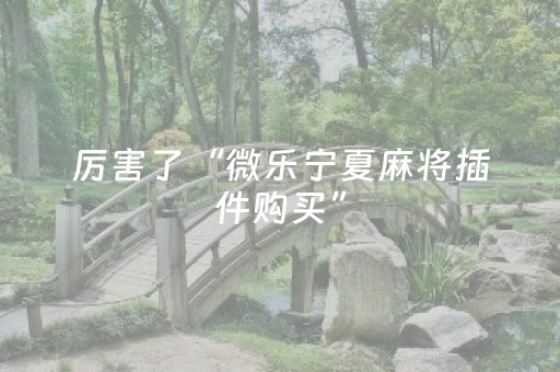 厉害了“微乐宁夏麻将插件购买”（软挂神器)