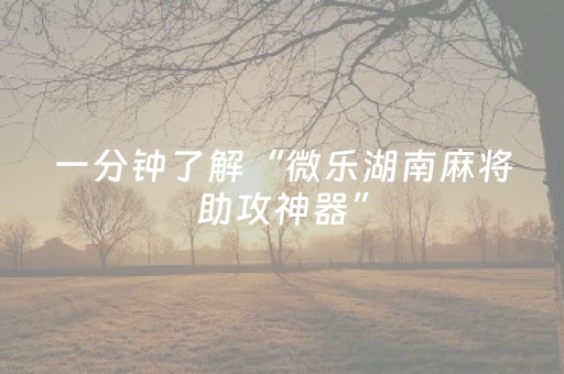 一分钟了解“微乐湖南麻将助攻神器”（神器最新免费)