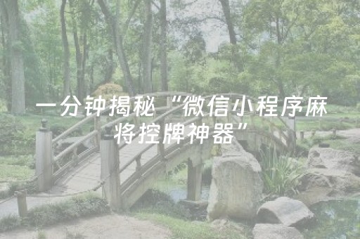 一分钟揭秘“微信小程序麻将控牌神器”（怎么设置能有好牌)
