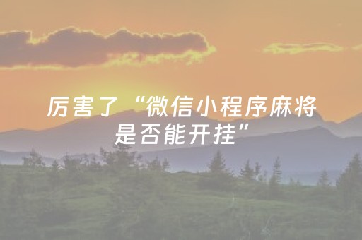 厉害了“微信小程序麻将是否能开挂”（助赢神器)