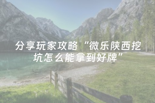 分享玩家攻略“微乐陕西挖坑怎么能拿到好牌”（如何让系统发好牌)