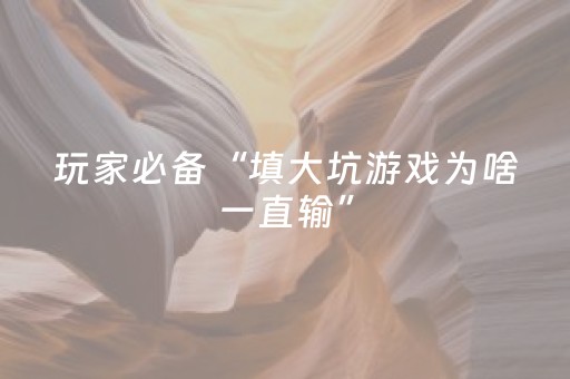 玩家必备“填大坑游戏为啥一直输”（软件出售)