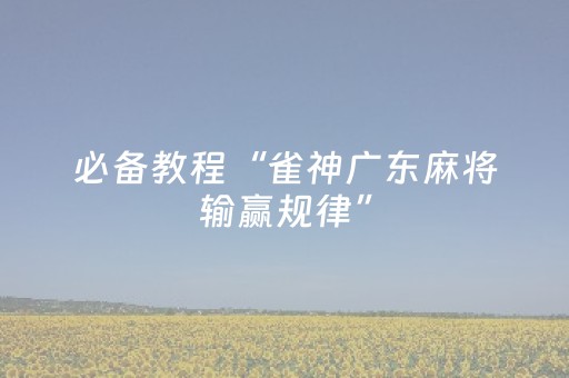 必备教程“雀神广东麻将输赢规律”（输赢规律)