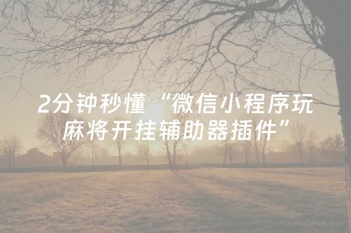 2分钟秒懂“微信小程序玩麻将开挂辅助器插件”（辅牌器插件购买)