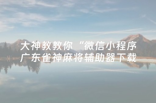 大神教教你“微信小程序广东雀神麻将辅助器下载”（是否能开挂)