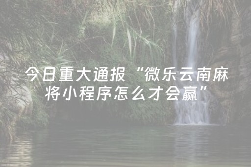 今日重大通报“微乐云南麻将小程序怎么才会赢”（提高胜率软件)