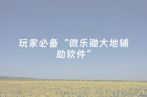 玩家必备“微乐锄大地辅助软件”（自建房怎么拿好牌)