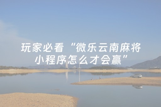 玩家必看攻略“麻将机光控多少钱一个（专用辅牌神器免安装）