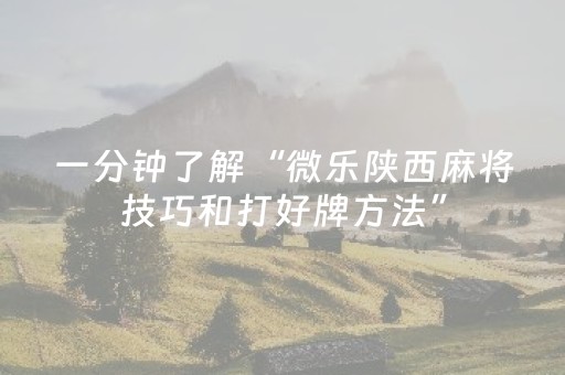 一分钟了解“微乐陕西麻将技巧和打好牌方法”（必赢神器免费安装)