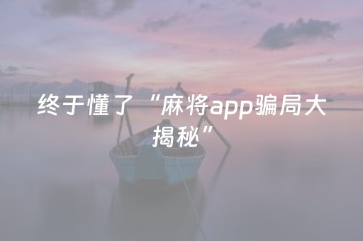 必看教程！“微乐麻将挂件神器”（详细透视教程）-哔哩哔哩