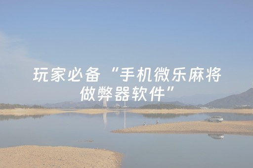 玩家必备“手机微乐麻将做弊器软件”（辅助器插件)