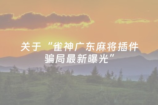 关于“雀神广东麻将插件骗局最新曝光”（辅牌器插件购买)