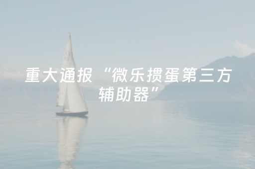 重大通报“微乐掼蛋第三方辅助器”（开挂辅助器插件)
