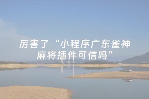 实测教程“黑科技小程序免费”（详细透视教程）-哔哩哔哩