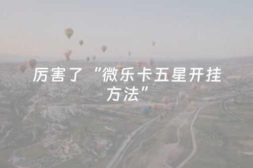 终于发现了“程序麻将机检测仪（专用辅牌神器免安装）