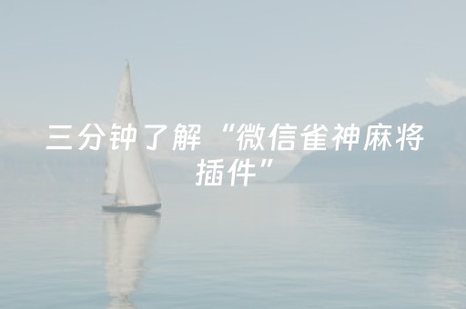 三分钟了解“微信雀神麻将插件”（助赢神器购买)