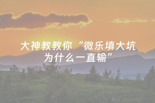 大神教教你“微乐填大坑为什么一直输”（插件可信吗)