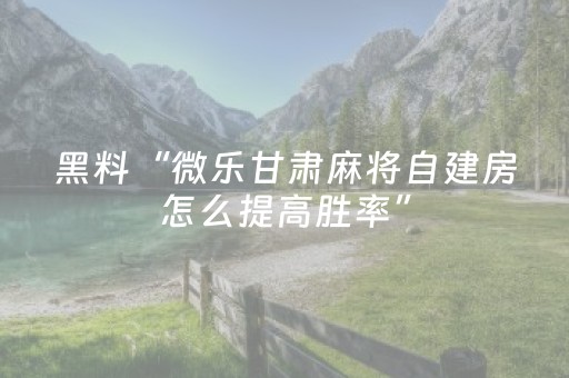 我来教大家“哈灵麻将助赢神器（专用辅牌神器免安装）