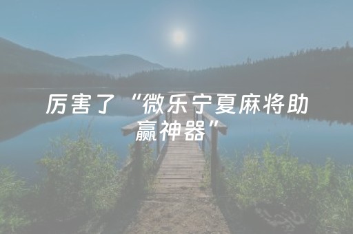 厉害了“微乐宁夏麻将助赢神器”（攻略插件)