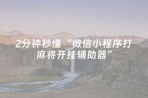 玩家必备教程“微信麻将专用神器（专用辅牌神器免安装）