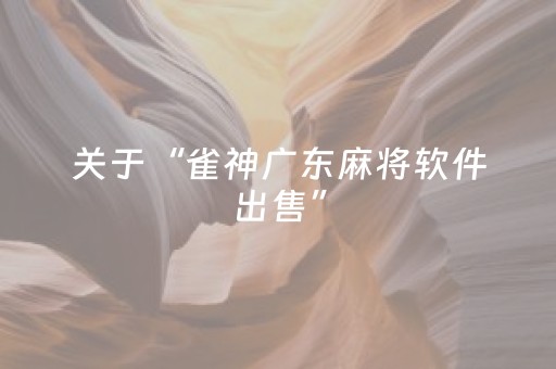 必看教程“普通家用麻将免安装控牌神器”（详细透视教程）-哔哩哔哩