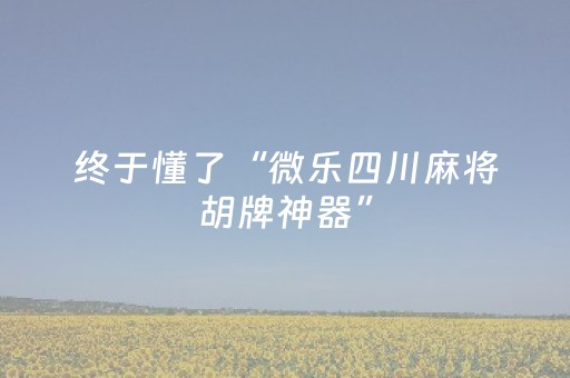 实测教程“广东雀神辅助器ios免费版（专用辅牌神器免安装）