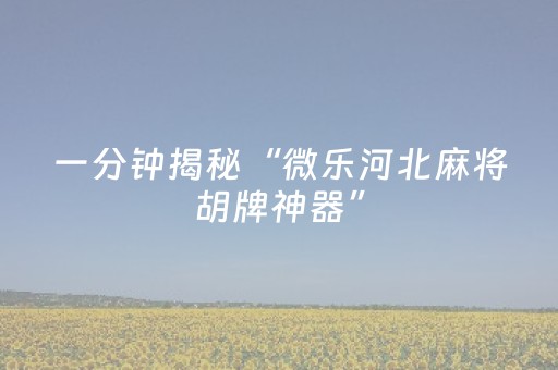 一分钟揭秘“微乐河北麻将胡牌神器”（有什么规律)