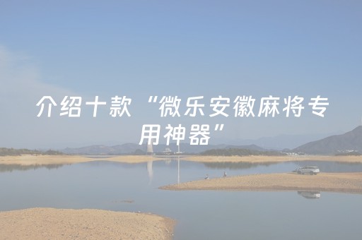 介绍十款“微乐安徽麻将专用神器”（专用神器)