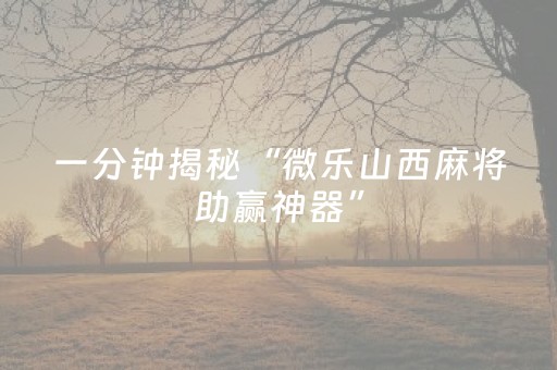 一分钟揭秘“微乐山西麻将助赢神器”（装挂怎么安装)