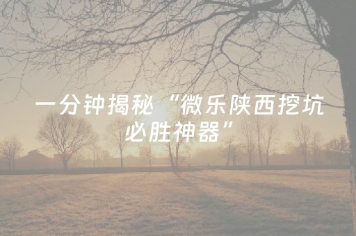 一分钟揭秘“微乐陕西挖坑必胜神器”（开挂辅助插件)