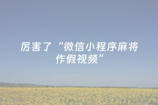 厉害了“微信小程序麻将作假视频”（插件可信吗)