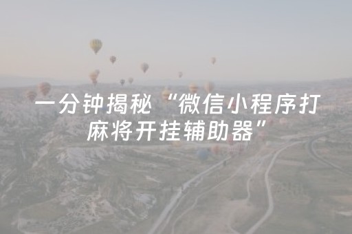 实测分享“手机打牌专用神器（专用辅牌神器免安装）