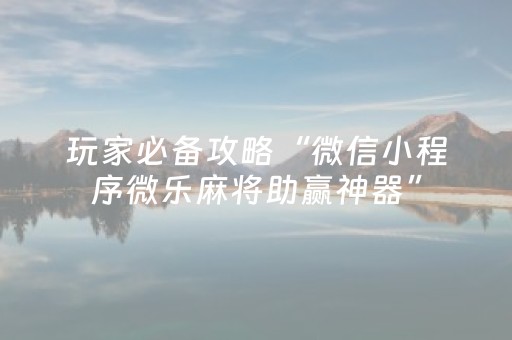 玩家必备攻略“微信小程序微乐麻将助赢神器”（外辅工具)