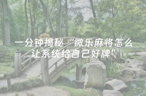 一分钟揭秘“微乐麻将怎么让系统给自己好牌”（免费专用神器)