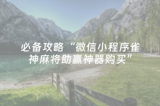 实测教程“雀神小程序辅助app下载（专用辅牌神器免安装）