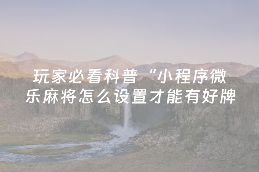 玩家必看科普“小程序微乐麻将怎么设置才能有好牌”（助赢神器购买)
