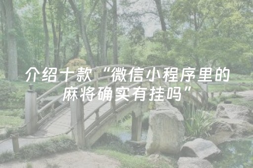 必看教程“胡乐白银麻将胡牌神器（助赢神器通用版）