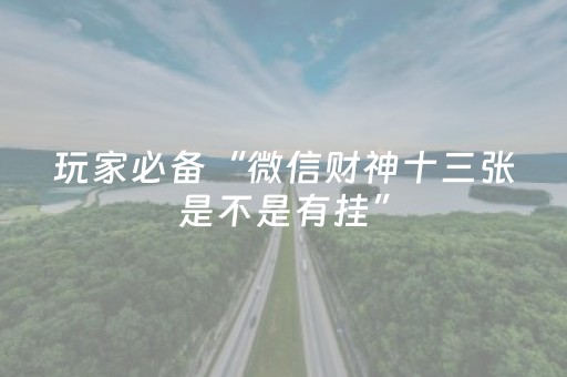 玩家必备“微信财神十三张是不是有挂”（提高胜率软件)