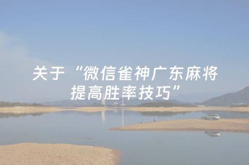 实测分析“哈灵杭州麻将技巧秘籍”（详细辅助教程）-哔哩哔哩