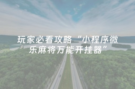 玩家必看攻略“小程序微乐麻将万能开挂器”（辅牌器插件购买)
