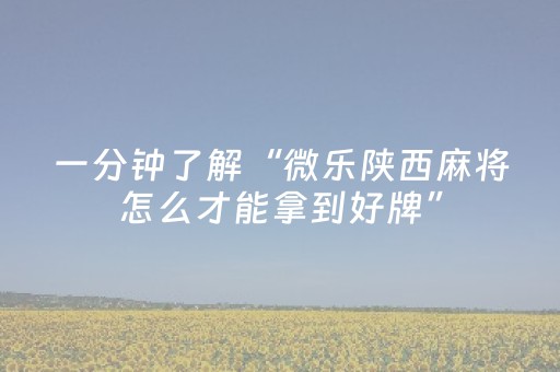 一分钟了解“微乐陕西麻将怎么才能拿到好牌”（怎么设置才能赢)