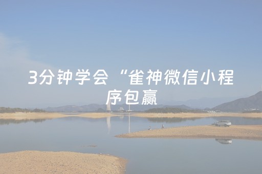 3分钟学会“雀神微信小程序包赢（助赢神器通用版）