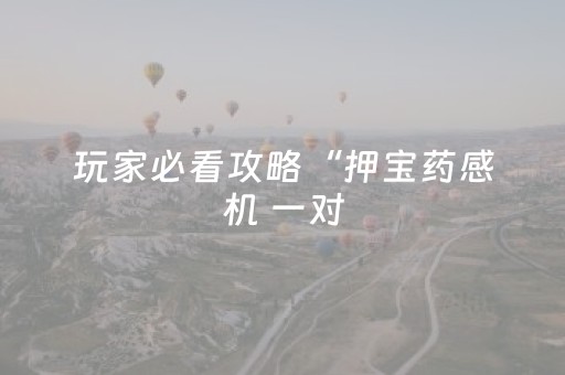 玩家必看攻略“押宝药感机 一对（助赢神器通用版）