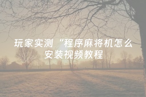 玩家实测“程序麻将机怎么安装视频教程（助赢神器通用版）
