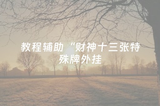 教程辅助“财神十三张特殊牌外挂（专用辅牌神器免安装）