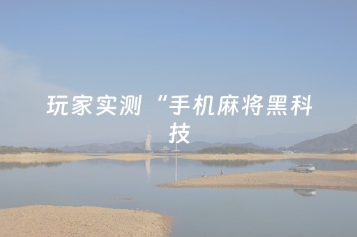 玩家实测“手机麻将黑科技（助赢神器通用版）
