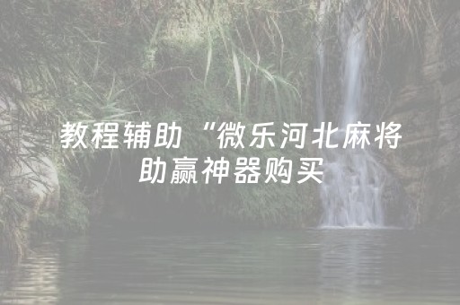 教程辅助“微乐河北麻将助赢神器购买（专用辅牌神器免安装）